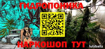 дмт Тара