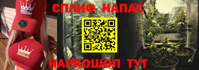 дмт Тара