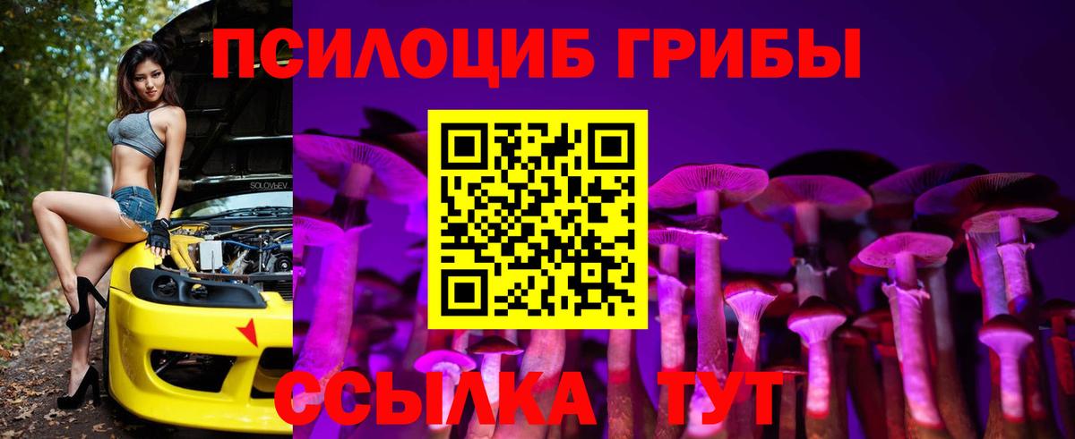 Псилоцибиновые грибы мицелий  Вход с VPN  Мариинск 